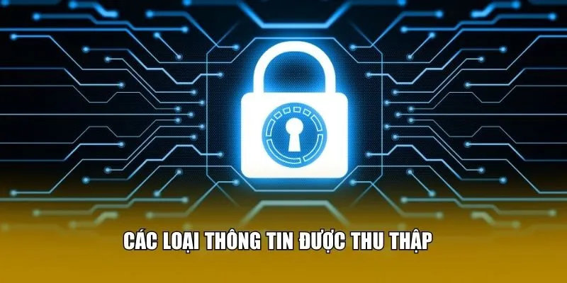 Các loại thông tin được thu thập