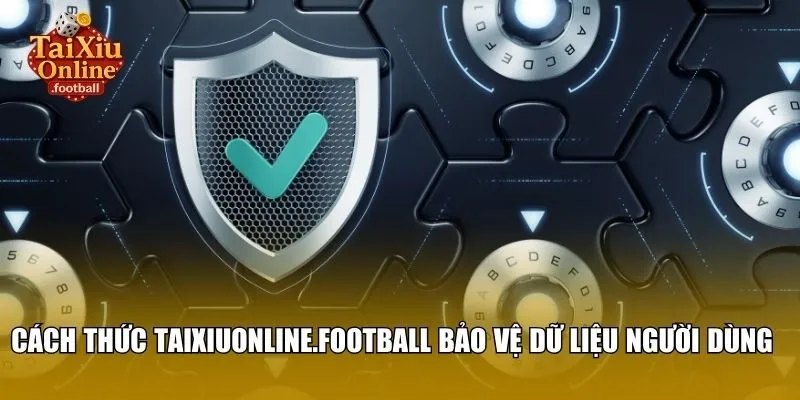 Cách thức calces.io bảo vệ dữ liệu người dùng