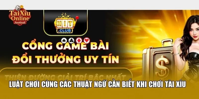 Các thuật ngữ phổ biến dành cho người chơi tài xỉu tại HitClub