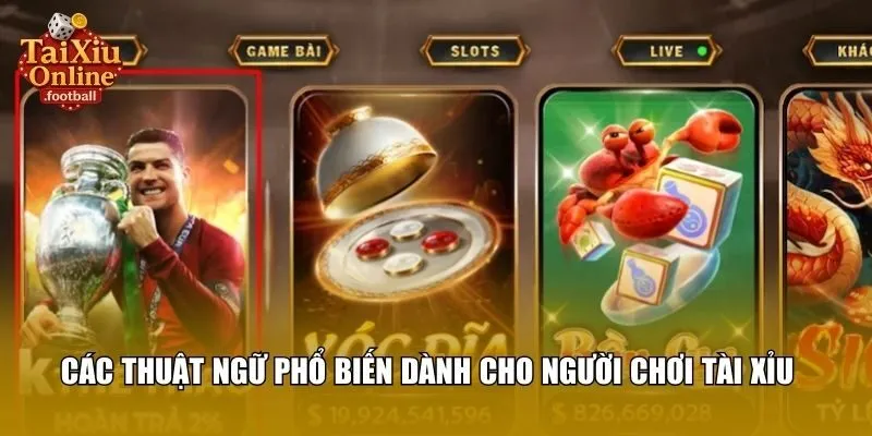 Luật chơi  cần biết khi chơi tài xỉu HitClub