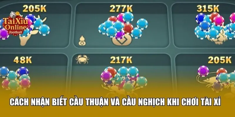 Cách nhận biết cầu thuận và cầu nghịch khi chơi tài xỉu