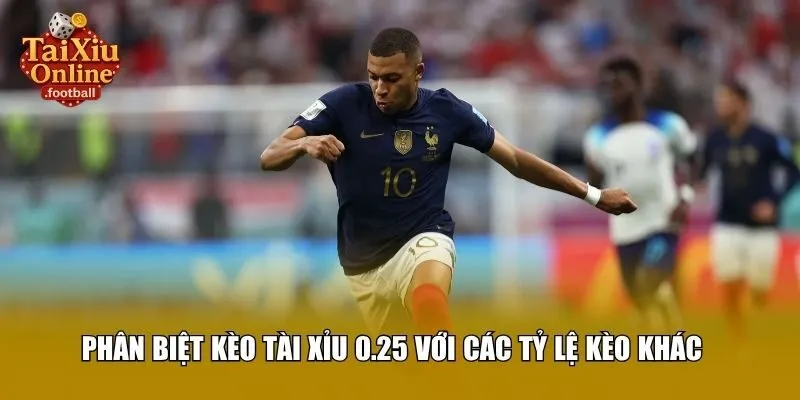 Phân biệt kèo tài xỉu 0.25 với các tỷ lệ kèo khác