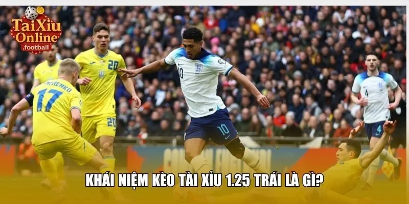 Khái niệm kèo tài xỉu 1.25 trái là gì