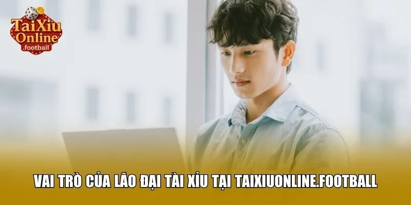 Vai trò của Lão Đại Tài Xỉu tại calces.io