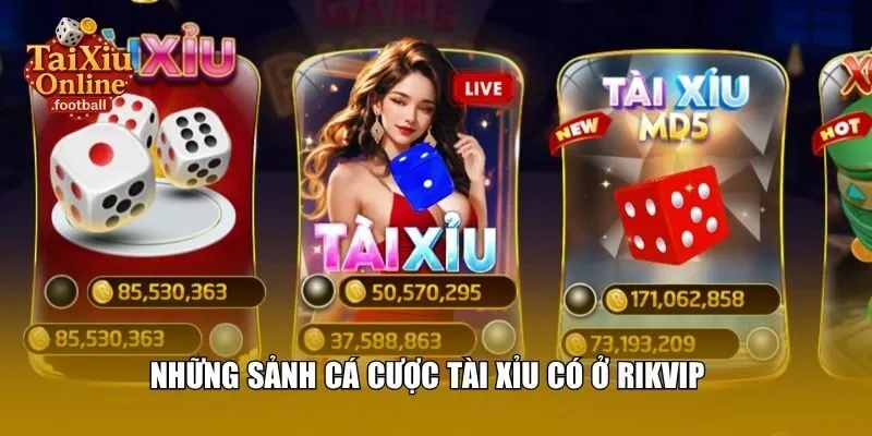 Những sảnh cá cược tài xỉu có ở Rikvip