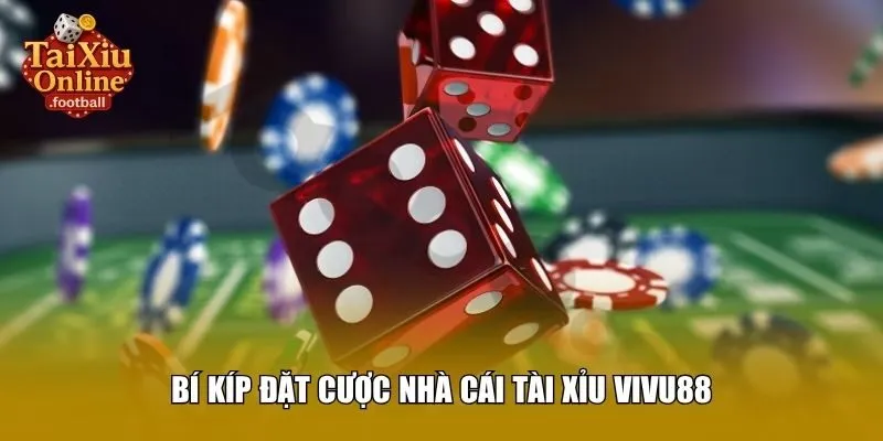 Bí kíp đặt cược nhà cái tài xỉu Vivu88